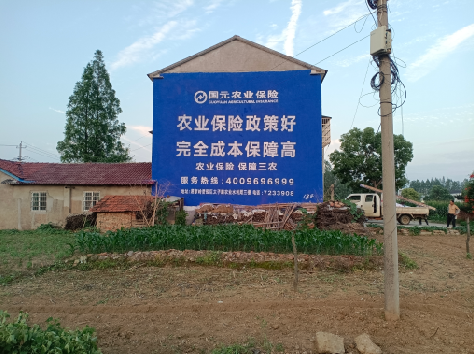 新郑墙体广告为何受追捧？